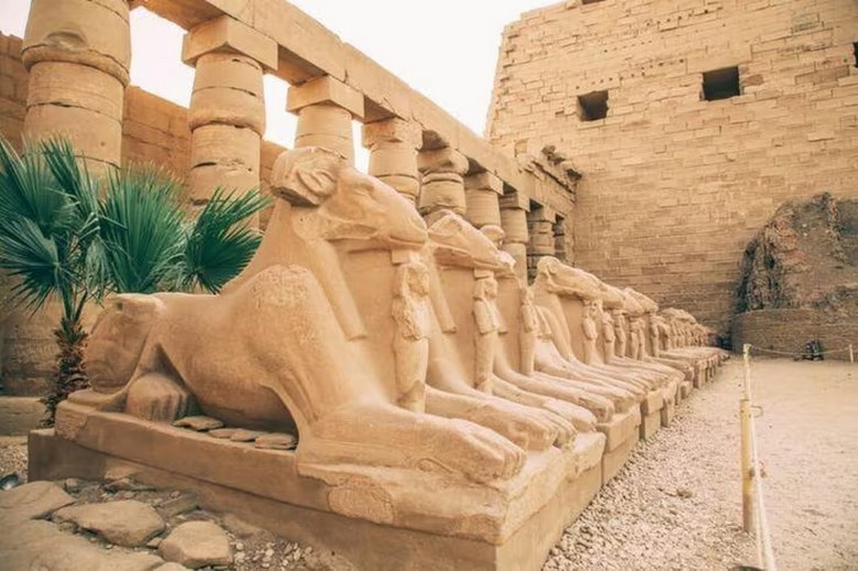 Hàng tượng nhân sư dọc lối vào đền Karnak