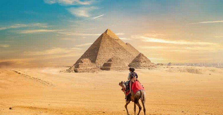  Du khách cưỡi lạc đà với Kim tự tháp Giza phía sau