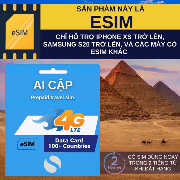 SIM 4G và biểu tượng các nhà mạng Vodafone, Orange ở Ai Cập